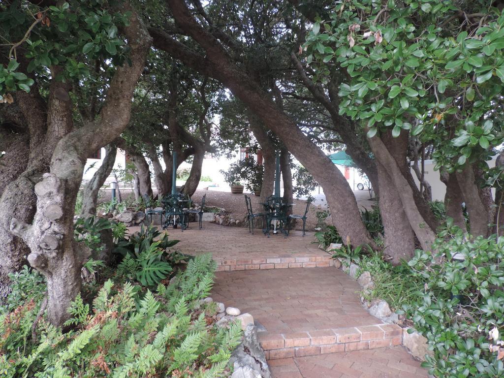 הרמנוס Milkwood Lodge מראה חיצוני תמונה